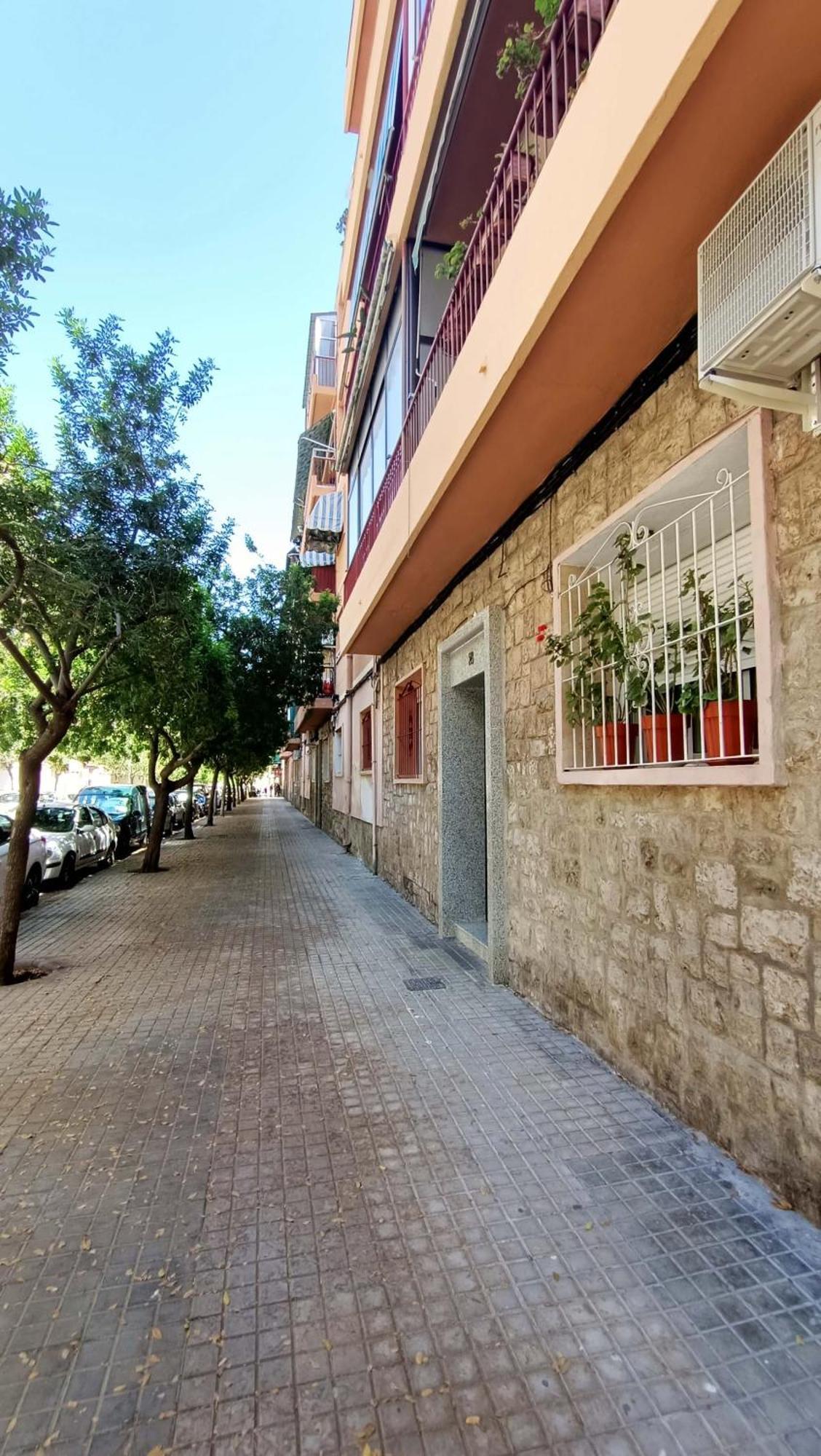 Visitando A Mijail Alicante Exterior foto